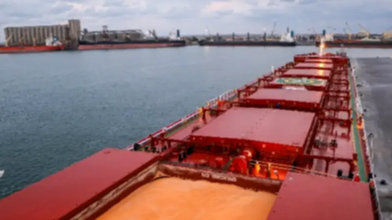 ميناء دمياط يشهد حركة نشطة باستقبال 11 سفينة حاويات وبضائع عامة