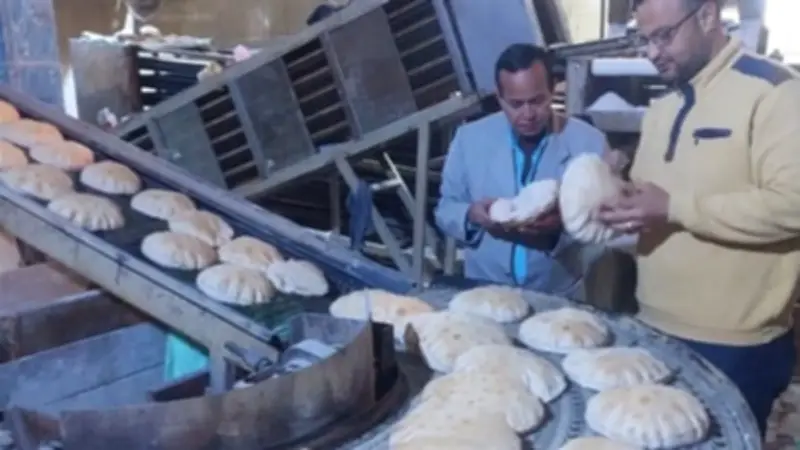 ضبط 11 مخالفة تموينية في حملة تفتيشية على المخابز البلدية بمحافظة البحيرة