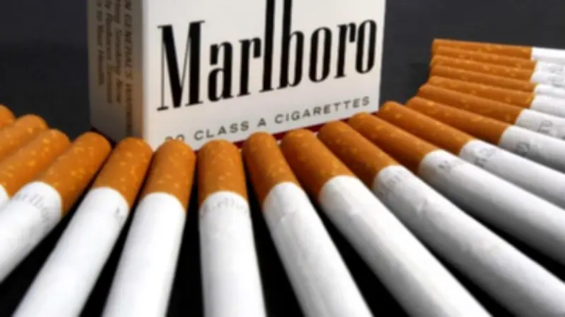ارتفاع جديد في أسعار السجائر والتبغ المسخن: ميريت بـ 111 جنيها وتحديثات للعلامات التجارية
