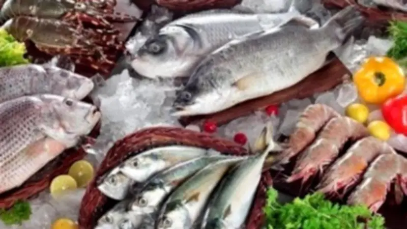 سعر السمك اليوم: انخفاض الجمبري الجامبو لـ1150 جنيها وارتفاع البلطي الأربعاء