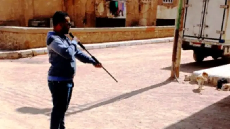 أسوان تطعّم 1234 كلباً ضد السعار في إطار مبادرة وطنية للقضاء على المرض بحلول 2030