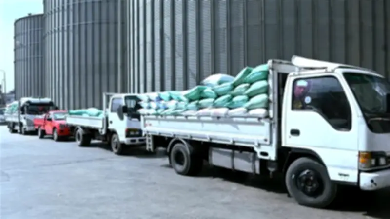 محافظة البحيرة تستقبل 1255 طن قمح ضمن موسم التوريد 2026