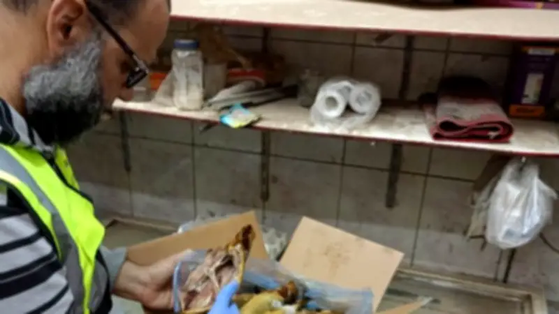 حملات مكثفة لسلامة الغذاء في أسوان تستهدف 129 منشأة وتصادر 60 كجم أسماك مملحة