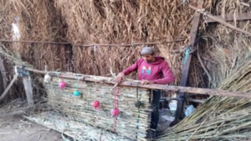 وزيرة التنمية المحلية: تمويل 1338 مشروعًا صغيرًا باستثمارات 27 مليون جنيه في 17 محافظة