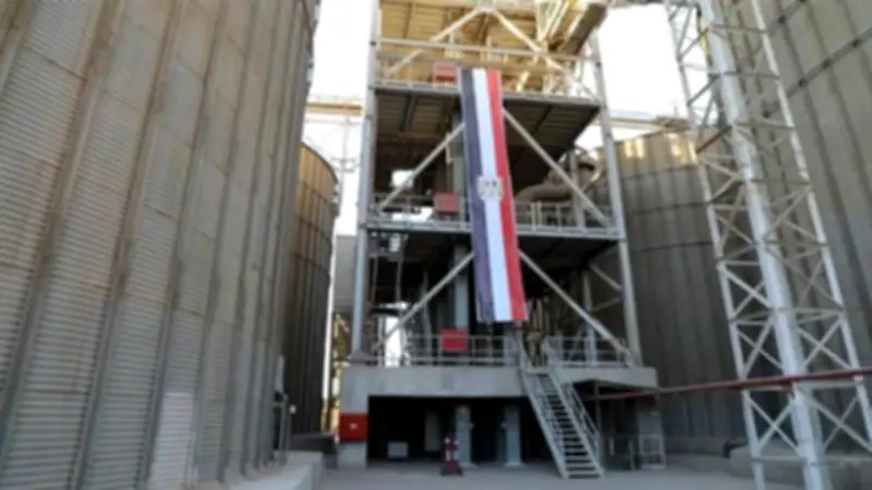 المنيا تستقبل 14.5 ألف طن قمح في موسم التوريد 2026 لتعزيز الأمن الغذائي