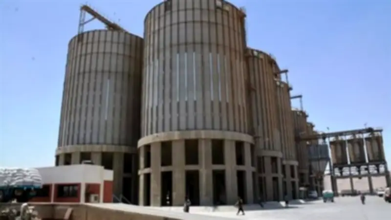 محافظ سوهاج يوجه بتجهيز 15 موقعًا تخزينيًا و11 لجنة فرز لموسم توريد القمح 2026