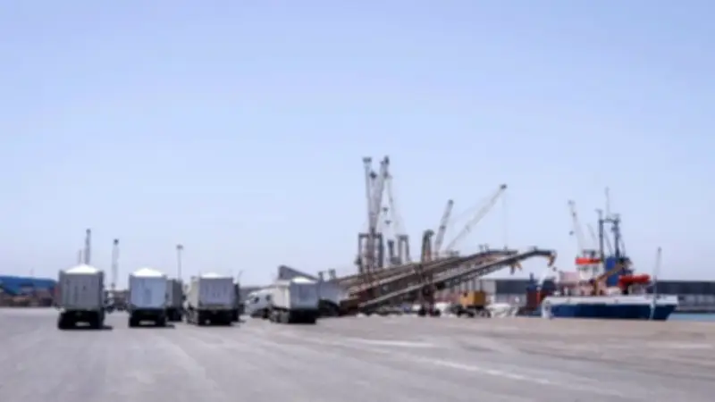 ميناء دمياط يسجل حركة نشطة باستقبال 15 سفينة وتصدير واردات بقيمة عشرات الآلاف من الأطنان