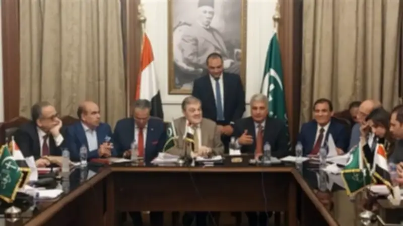 مستشار الوفد: إعادة ترتيب الحضانة ورقمنة قانون الأسرة في 15 نقطة