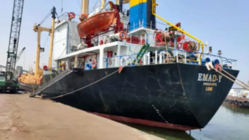 وزير المالية: 15.8 مليار جنيه دعم للمواد البترولية بالموازنة الجديدة