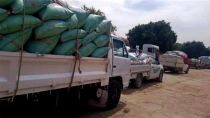 محافظ سوهاج: توريد 1844 طن قمح للشون والصوامع خلال 4 أيام