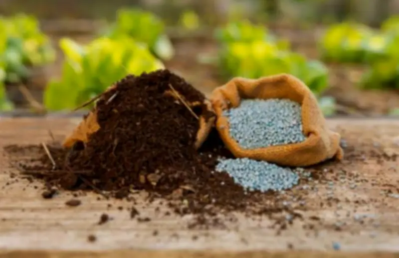 ارتفاع أسعار الأسمدة اليوم: متوسط الطن يسجل 18.6 ألف جنيه