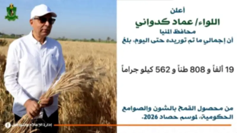 محافظ المنيا يعلن توريد 19 ألف طن من القمح لتعزيز الأمن الغذائي في موسم 2026