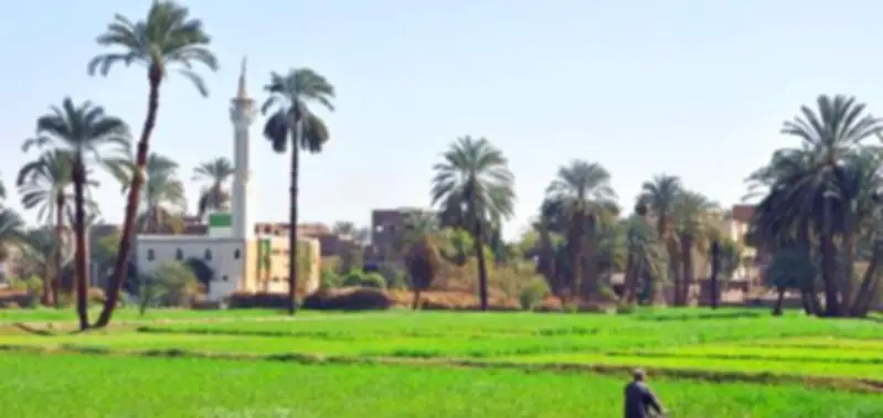 صورة نادرة تكشف حياة الفلاحين في الريف المصري عام 1935