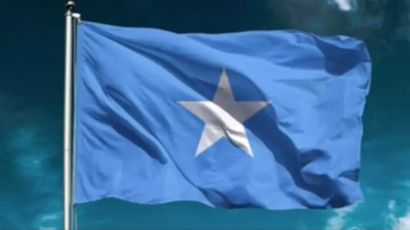 خبير إفريقي: أزمة أرض الصومال بدأت مع انهيار الدولة عام 1991 وتؤثر على الأمن القومي المصري