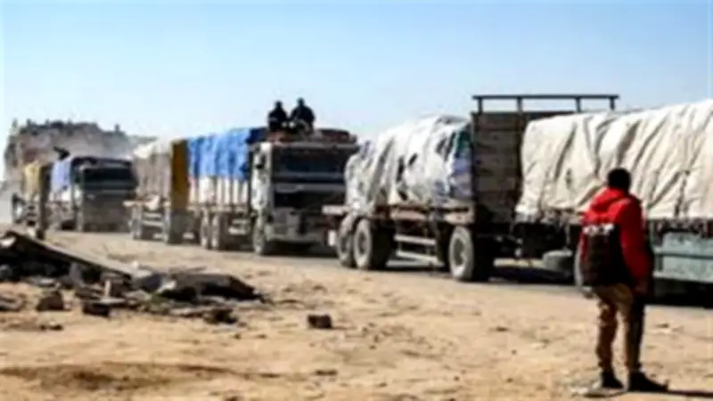 محللة سياسية: 2 مليون فلسطيني يعتمدون على المساعدات الإنسانية في غزة
