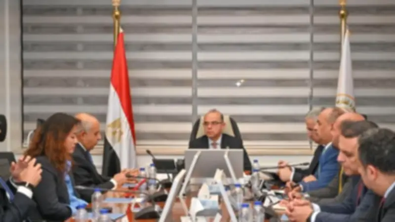 مشروع صيني ضخم لإنتاج إطارات السيارات في مصر باستثمارات 2 مليار دولار