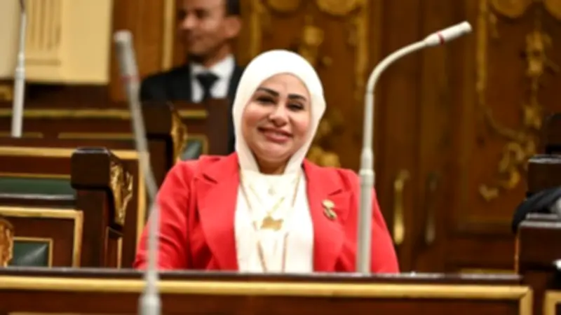 نائبة تؤكد: مقترح توفير مسكن للمطلقة بعد 20 عام زواج يحمل بعداً إنسانياً لحماية المرأة