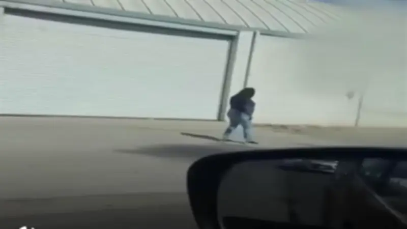 سرب نحل يهاجم سيدة في المكسيك بأكثر من 200 لسعة وتدخل عسكري لإنقاذها