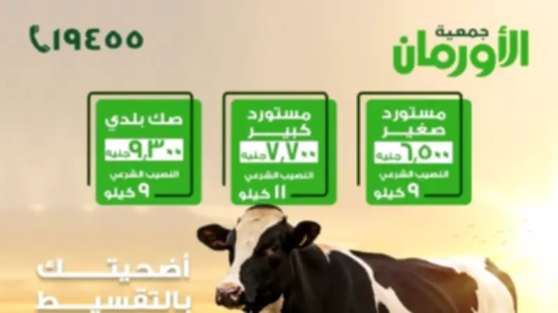 جمعية الأورمان تطلق حملة صكوك الأضاحي 2026 بالتقسيط على 12 شهرًا لتيسير الفريضة