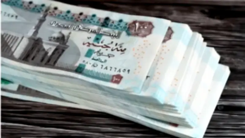 تبكير صرف مرتبات أبريل ومايو 2026 لـ 19 من كل شهر مع خصم 50% للموظفين غير الصالحين