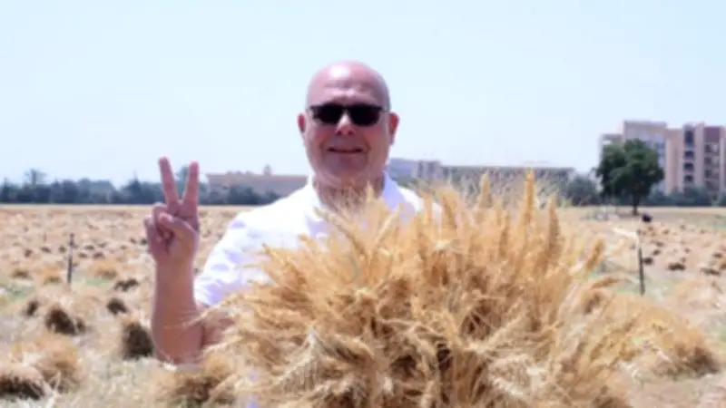 جامعة سوهاج تحصد سنابل الخير: إنتاجية قياسية للقمح في موسم 2026