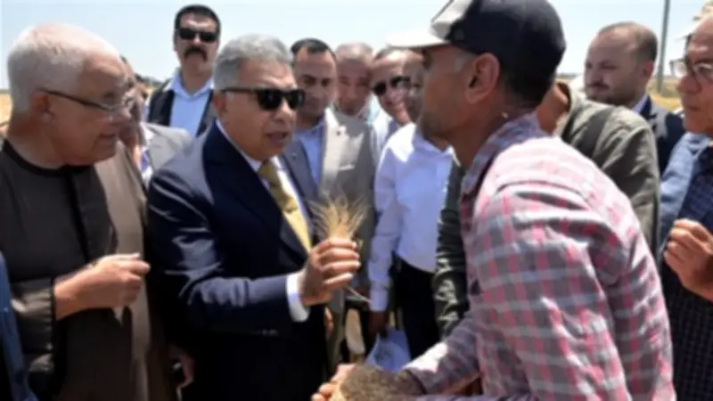 محافظ الدقهلية يطلق موسم حصاد القمح 2026 من حقل إرشادي بأجا
