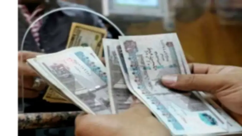 شهادات البنوك 2026 تقدم عائداً مقدماً 37.5% بعد قرارات المركزي.. وخبير: الأوعية الادخارية الأكثر أماناً