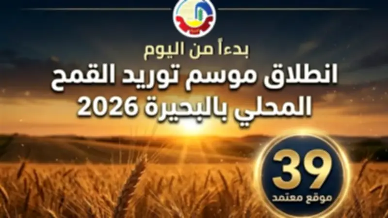انطلاق موسم توريد القمح المحلي 2026 بالبحيرة عبر 39 موقعًا معتمدًا