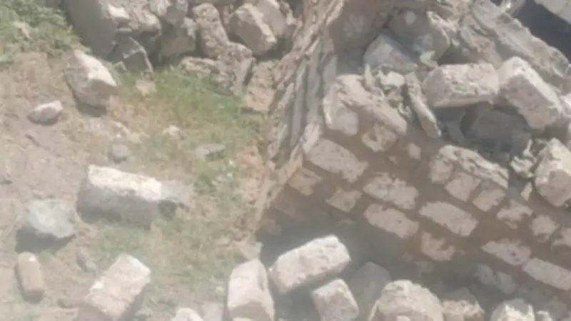 وزارة الزراعة تعلن إزالة 211 حالة تعدٍ على الأراضي الزراعية خلال أسبوع واحد