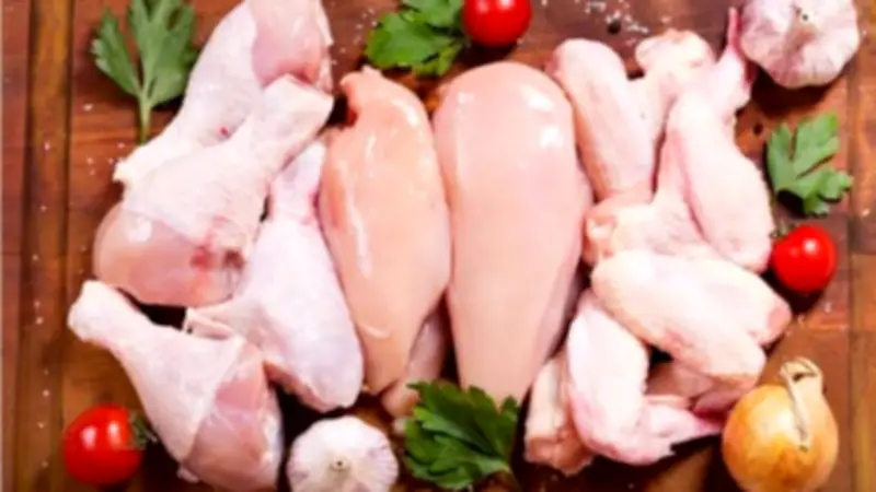 أسعار الدواجن اليوم الأربعاء 22 أبريل 2026: ارتفاع طفيف في سعر البانيه والفراخ