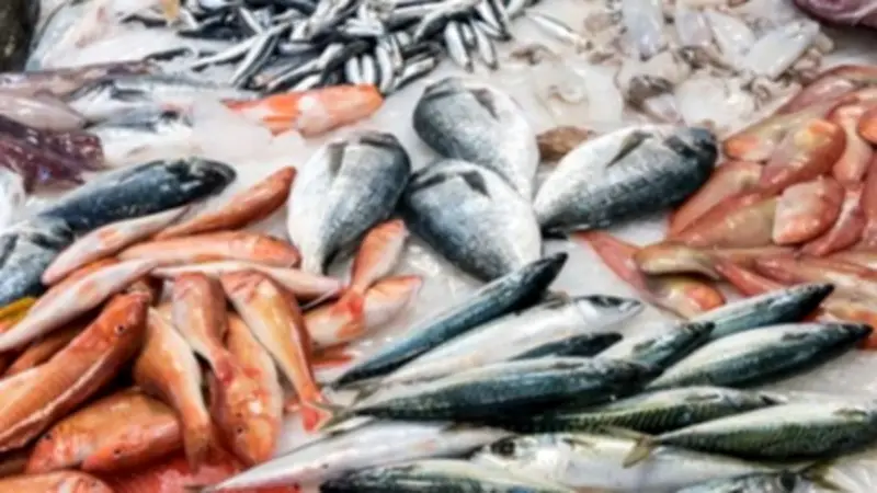 أسعار الأسماك بمنافذ التموين اليوم الخميس 23 أبريل 2026