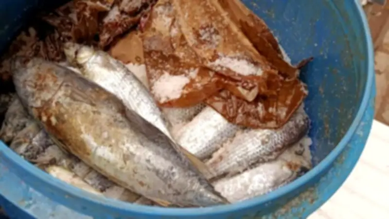 ضبط 236 مخالفة تموينية في المنيا خلال حملات مكثفة تزامنا مع أعياد الربيع