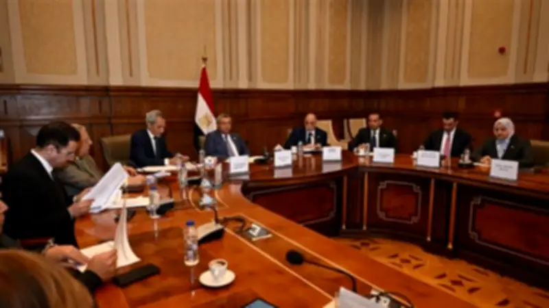 الشيوخ يوافق على تعديل قانون التأمينات والمعاشات بقسط سنوي 238.5 مليار جنيه