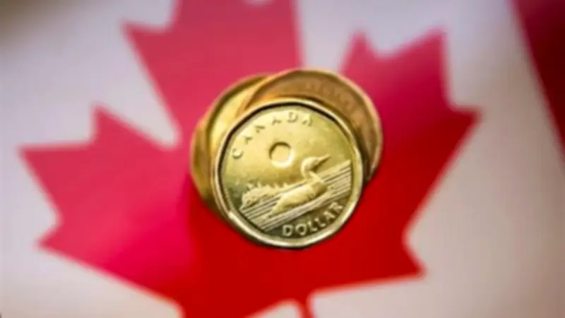 استقرار سعر الدولار الكندي أمام الجنيه في البنوك المصرية اليوم الجمعة 24 أبريل 2026