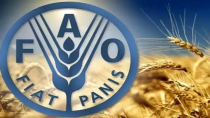 ارتفاع مؤشر أسعار الغذاء عالمياً بنسبة 2.4% في مارس 2026 بسبب الحرب في الشرق الأوسط