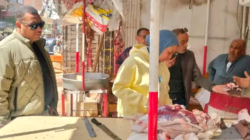 حملات تموينية في المنيا تحرر 244 مخالفة وتضبط 3173 لتر سولار