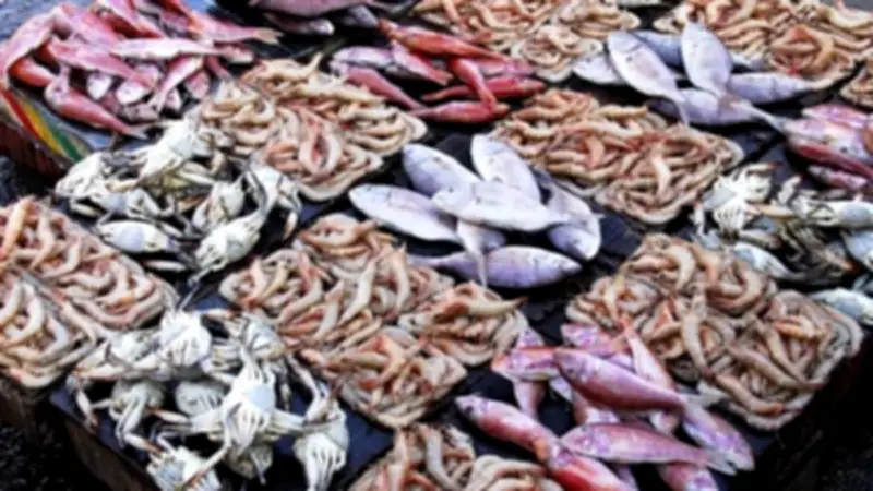 سعر السمك اليوم 25 أبريل 2026: البلطي يسجل 75 جنيها والجمبري الممتاز يرتفع