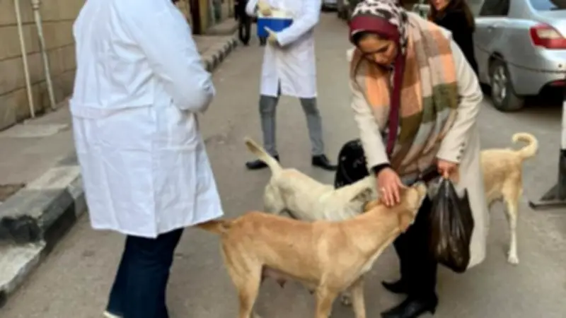 الزراعة تكشف أرقامًا صادمة في حملة الكلاب الحرة: 25 ألفًا محصنًا و2085 معقمًا