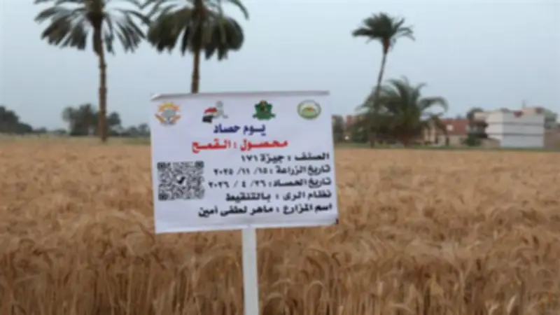 وزيرة التضامن: مبادرة «ازرع» زرعت 250 ألف فدان وتستحق التسجيل كملكية فكرية