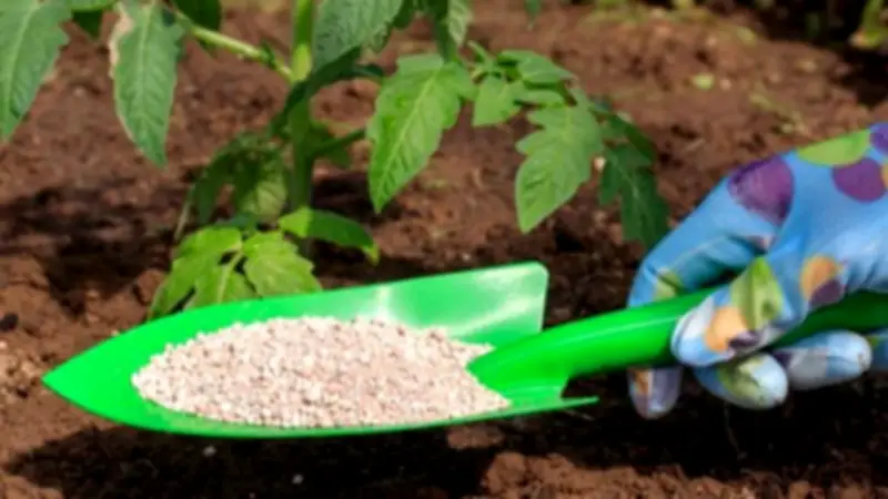 أسعار الأسمدة في المنيا اليوم الأحد 26 أبريل 2026 تشهد تنوعًا ملحوظًا