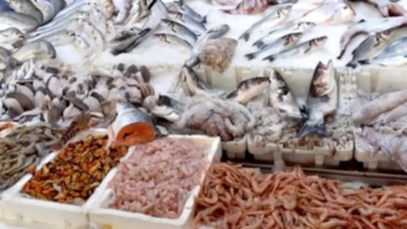 انخفاض الجمبري وارتفاع المكرونة في أسعار السمك اليوم الإثنين 27 أبريل 2026