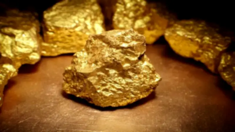 تأجيل دعوى منع استخدام الحيوانات في التجارب العلمية لـ 27 يونيو 2026