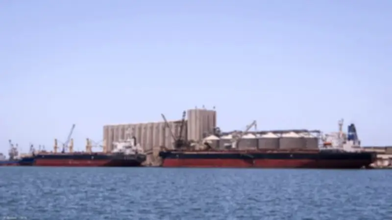 ميناء دمياط يستقبل سفينة قمح من أوكرانيا ويدير 27 سفينة خلال 24 ساعة