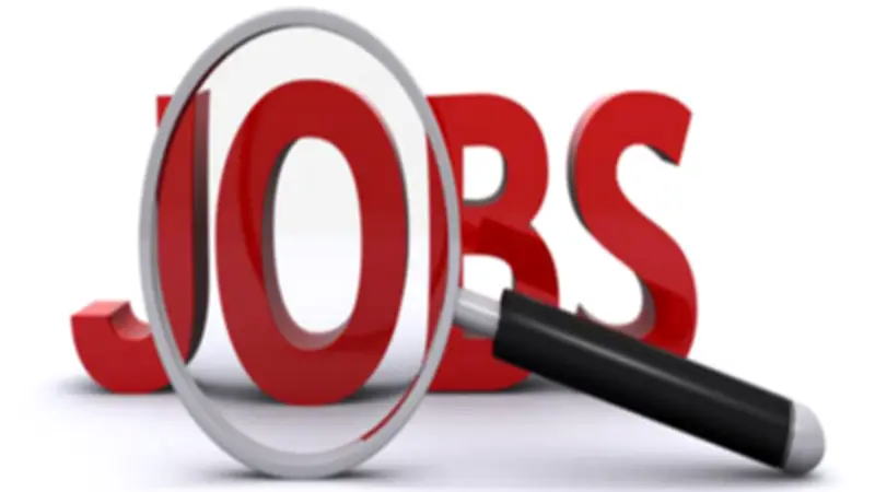 271 فرصة عمل جديدة في بورسعيد برواتب تصل إلى 20 ألف جنيه شهريًا