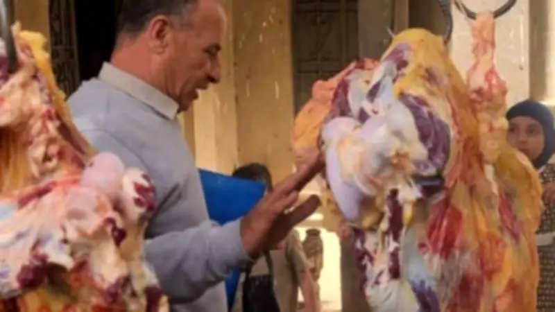 ضبط 277 كيلو لحوم ومنتجات غذائية غير صالحة في حملات رقابية مكثفة بمحافظة المنيا