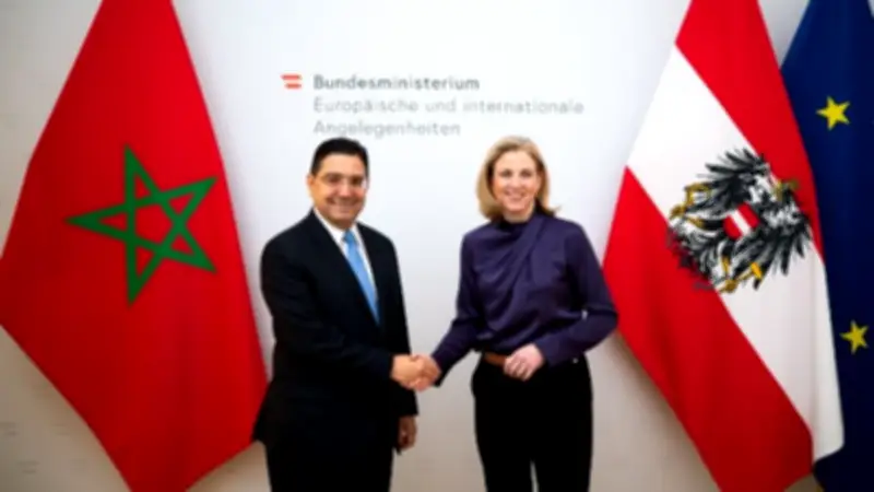 النمسا تؤكد دعمها لقرار مجلس الأمن 2797 بشأن الصحراء وتشيد بالمبادرة المغربية