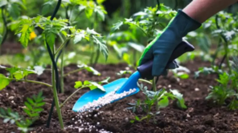 ارتفاع أسعار الأسمدة اليوم في الأسواق المصرية الثلاثاء 28 أبريل 2026