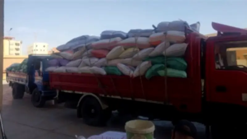 محافظ الدقهلية يعلن توريد 28 ألف طن قمح للصوامع والمواقع التخزينية