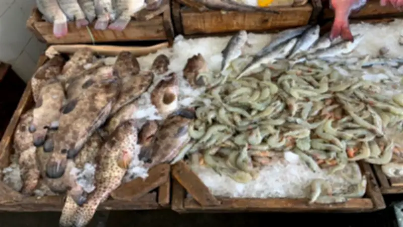 أسعار الأسماك في سوق العبور اليوم الثلاثاء 28-4-2026.. البلطي يبدأ من 81 جنيها