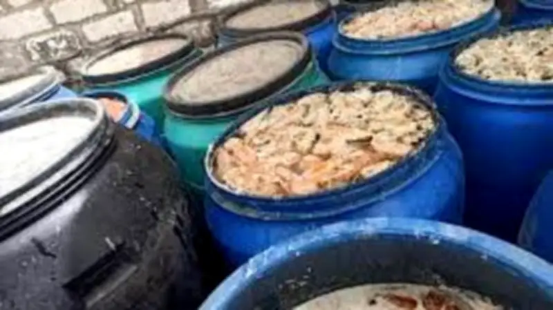 ضبط 3 أطنان مخللات فاسدة ومجهولة المصدر في مصنع غير مرخص بالغربية